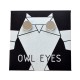 Owl Eyes III